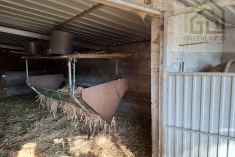 Landejendom i Arganil, Coimbra, Arganil - € 30.000 | Ref: 600 - foto 5