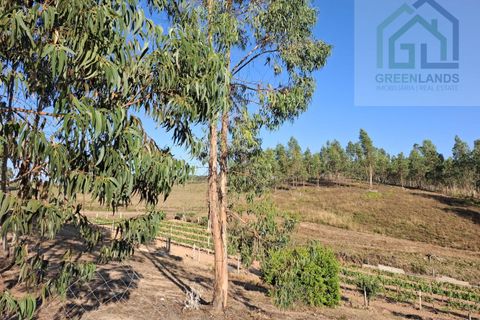 Landejendom i Arganil, Coimbra, Arganil - € 30.000 | Ref: 600 - foto 6