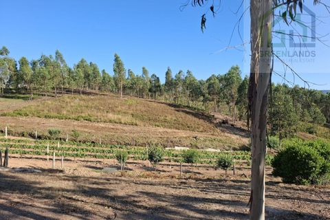 Landejendom i Arganil, Coimbra, Arganil - € 30.000 | Ref: 600 - foto 7