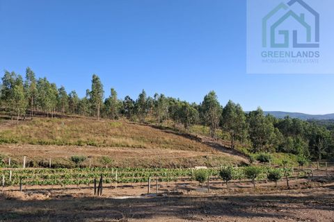 Landejendom i Arganil, Coimbra, Arganil - € 30.000 | Ref: 600 - foto 8