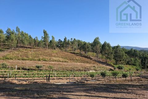 Landejendom i Arganil, Coimbra, Arganil - € 30.000 | Ref: 600 - foto 9