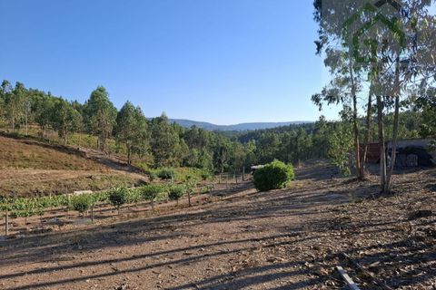 Landejendom i Arganil, Coimbra, Arganil - € 30.000 | Ref: 600 - foto 10