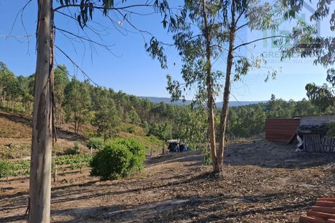 Landejendom i Arganil, Coimbra, Arganil - € 30.000 | Ref: 600 - foto 11