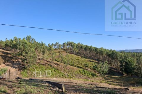 Landejendom i Arganil, Coimbra, Arganil - € 30.000 | Ref: 600 - foto 12
