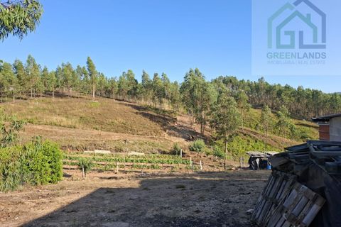Landejendom i Arganil, Coimbra, Arganil - € 30.000 | Ref: 600 - foto 13