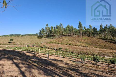 Landejendom i Arganil, Coimbra, Arganil - € 30.000 | Ref: 600 - foto 14