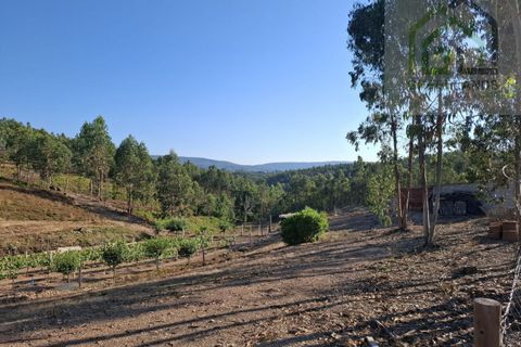 Landejendom i Arganil, Coimbra, Arganil - € 30.000 | Ref: 600 - foto 15