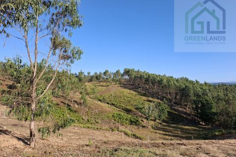Landejendom i Arganil, Coimbra, Arganil - € 30.000 | Ref: 600 - foto 17