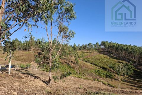 Landejendom i Arganil, Coimbra, Arganil - € 30.000 | Ref: 600 - foto 18