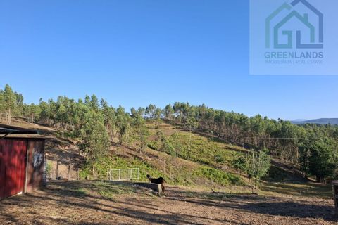 Landejendom i Arganil, Coimbra, Arganil - € 30.000 | Ref: 600 - foto 19