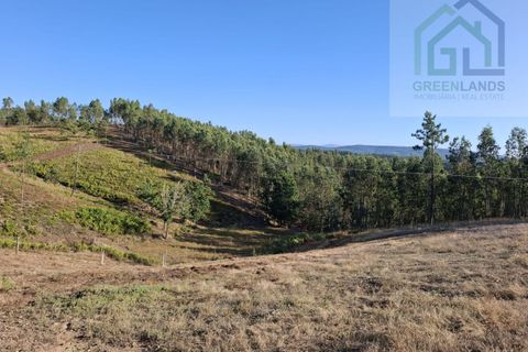 Landejendom i Arganil, Coimbra, Arganil - € 30.000 | Ref: 600 - foto 20