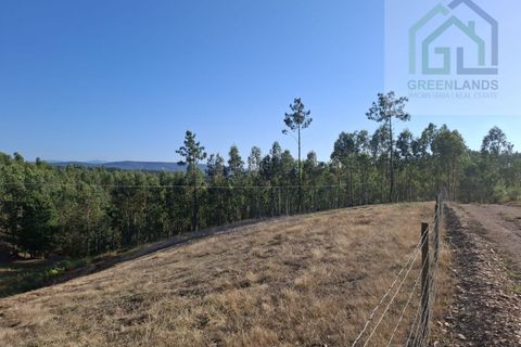 Landejendom i Arganil, Coimbra, Arganil - € 30.000 | Ref: 600 - foto 21
