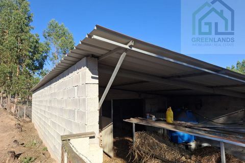 Landejendom i Arganil, Coimbra, Arganil - € 30.000 | Ref: 600 - foto 22