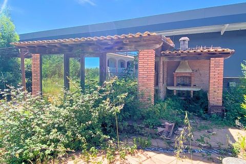 Farm i Moncao, Viana do Castelo, Moncao - € 700.000 | Ref: MNC1478QTA - foto 4