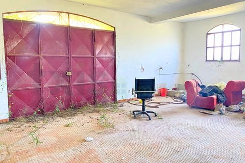 Farm i Moncao, Viana do Castelo, Moncao - € 700.000 | Ref: MNC1478QTA - foto 37