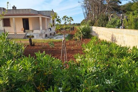 Villa i Carovigno, Brindisi, Carovigno - € 120.000 | Ref: V1806 - foto 4