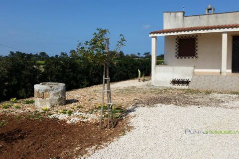 Villa i Carovigno, Brindisi, Carovigno - € 120.000 | Ref: V1806 - foto 5