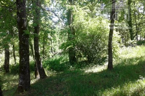 Helårsgrund i Callian, Var, Callian - € 249.000 | Ref: 7065710 - foto 2