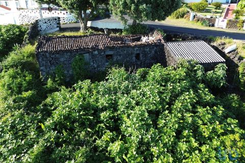Byhus i Madalena, Pico, Madalena - € 175.000 | Ref: 89502 - foto 5