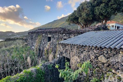 Byhus i Madalena, Pico, Madalena - € 175.000 | Ref: 89502 - foto 6
