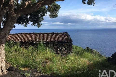 Byhus i Madalena, Pico, Madalena - € 175.000 | Ref: 89502 - foto 9
