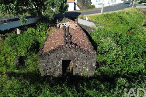 Byhus i Madalena, Pico, Madalena - € 175.000 | Ref: 89502 - foto 10