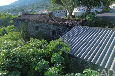 Byhus i Madalena, Pico, Madalena - € 175.000 | Ref: 89502 - foto 11