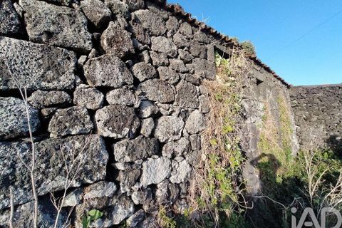 Byhus i Madalena, Pico, Madalena - € 175.000 | Ref: 89502 - foto 17