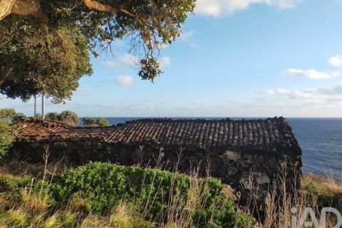 Byhus i Madalena, Pico, Madalena - € 175.000 | Ref: 89502 - foto 18
