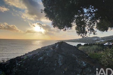 Byhus i Madalena, Pico, Madalena - € 175.000 | Ref: 89502 - foto 23