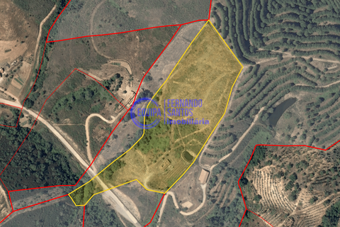 Ruin i Ourique, Beja, Ourique - € 80 000 | Ref: DB048 - foto 2