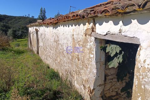 Ruin i Ourique, Beja, Ourique - € 80 000 | Ref: DB048 - foto 5