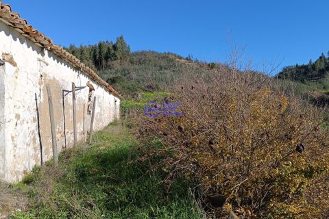 Ruin i Ourique, Beja, Ourique - € 80 000 | Ref: DB048 - foto 14