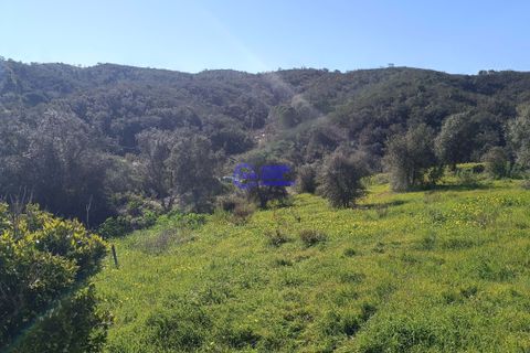 Ruin i Ourique, Beja, Ourique - € 80 000 | Ref: DB048 - foto 15