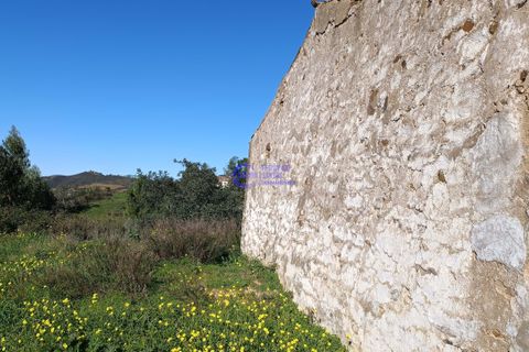 Ruin i Ourique, Beja, Ourique - € 80 000 | Ref: DB048 - foto 16