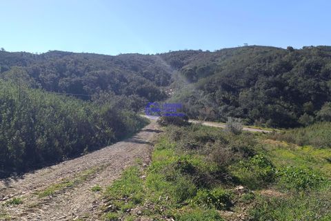 Ruin i Ourique, Beja, Ourique - € 80 000 | Ref: DB048 - foto 17