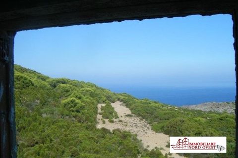 Villa i Carloforte, Sud Sardegna, Carloforte - € 245.000 | Ref: villa Carloforte da ristrutturare - foto 11