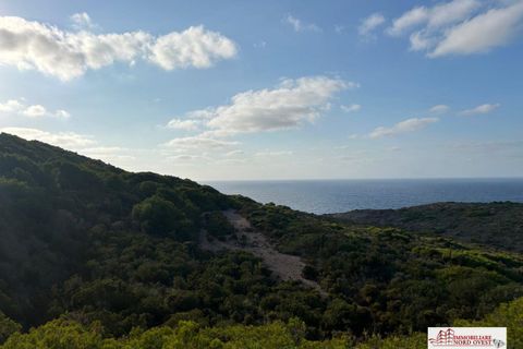 Villa i Carloforte, Sud Sardegna, Carloforte - € 245.000 | Ref: villa Carloforte da ristrutturare - foto 14
