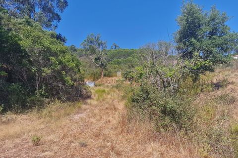 Helårsgrund i Silves, Faro, Silves - € 65.000 | Ref: CA25-215 - foto 3