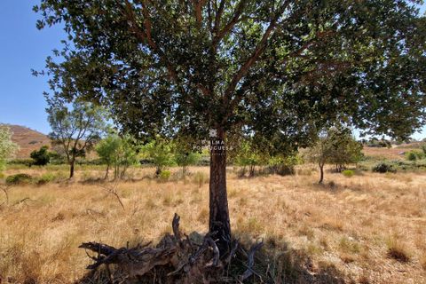 Helårsgrund i Silves, Faro, Silves - € 65.000 | Ref: CA25-215 - foto 8