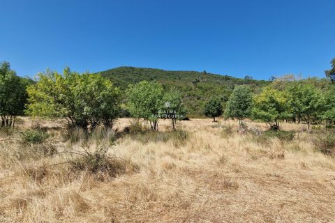 Helårsgrund i Silves, Faro, Silves - € 65.000 | Ref: CA25-215 - foto 12