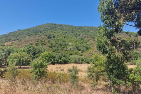 Helårsgrund i Silves, Faro, Silves - € 65.000 | Ref: CA25-215 - foto 14