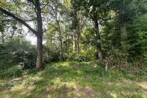 Terra a Taize-Aizie, Charente, Taize-Aizie - € 17.000 | Ref: BVI76269 - foto 2