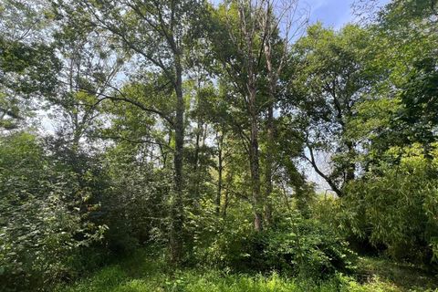 Terra a Taize-Aizie, Charente, Taize-Aizie - € 17.000 | Ref: BVI76269 - foto 3