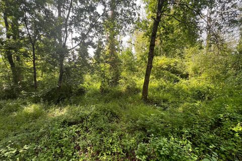 Terra a Taize-Aizie, Charente, Taize-Aizie - € 17.000 | Ref: BVI76269 - foto 4