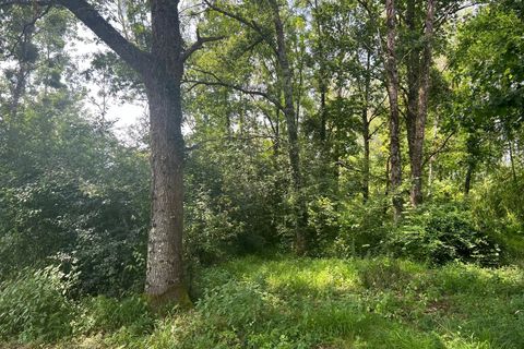 Terra a Taize-Aizie, Charente, Taize-Aizie - € 17.000 | Ref: BVI76269 - foto 5