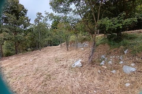 Helårsgrund i Coursegoules, Alpes-Maritimes, Coursegoules - € 199.000 | Ref: 2940 A - foto 9