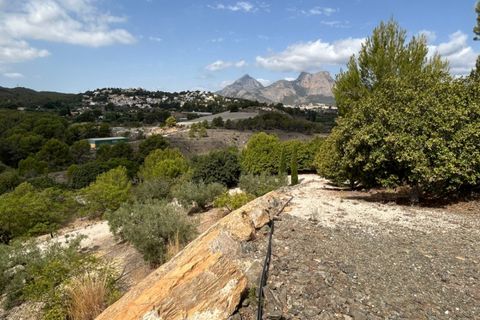 Helårsgrund i La Nucia, Alicante, La Nucia - € 190.000 | Ref: 4836 - foto 11