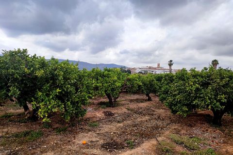 Terra a Canals, Valencia, Canals - € 33.000 | Ref: 03609/399 - foto 7