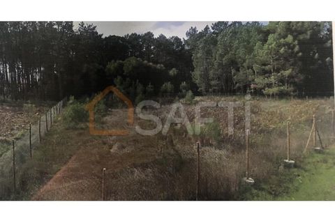 Helårsgrund i Pataias, Leiria, Pataias - € 38.000 | Ref: SAFTI:005741 - foto 4